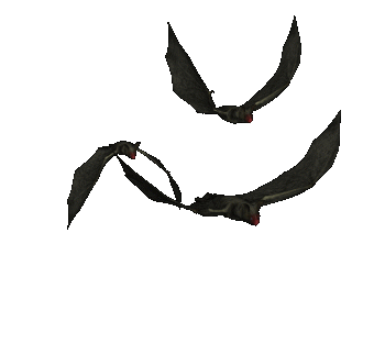 3 flying bats gif